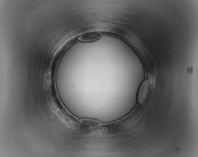 X0000115640676200911241712