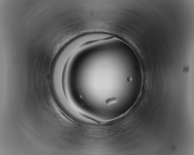 X0000115640677200911241712