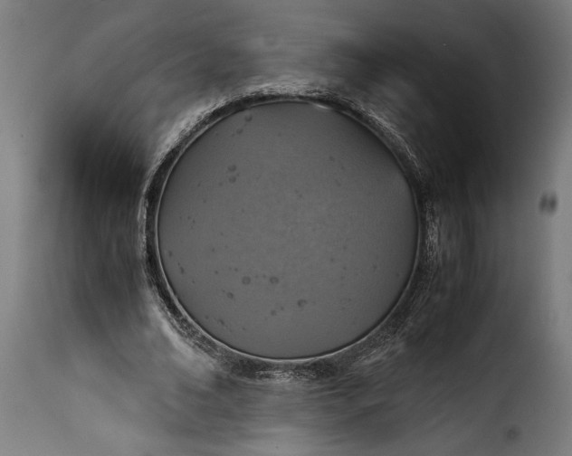 X0000115640678200911241712