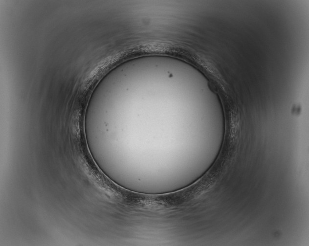 X0000115640681200911241712