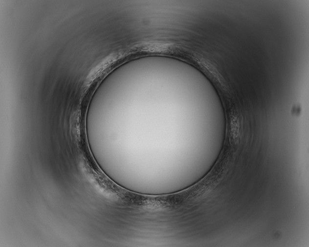 X0000115640682200911241712