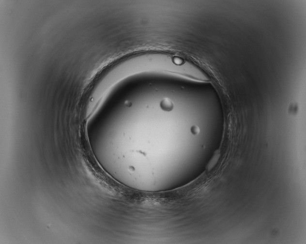 X0000115640684200911241711