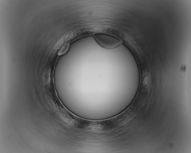 X0000115640685200911241711