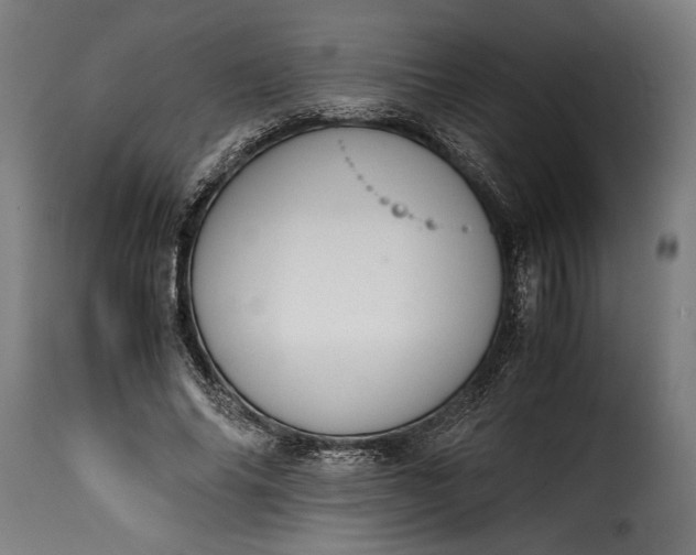 X0000115640686200911241711