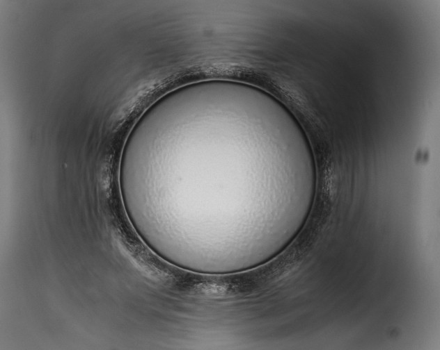 X0000115640687200911241711