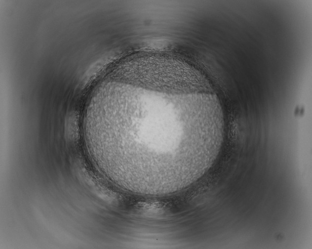 X0000115640688200911241711