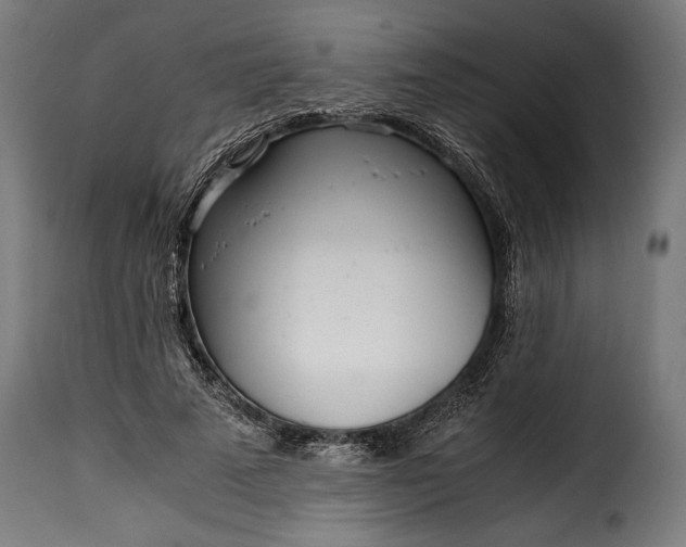 X0000115640689200911241711