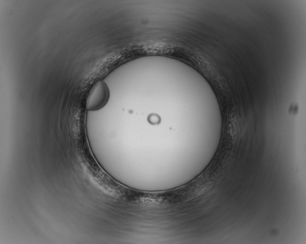 X0000115640690200911241711