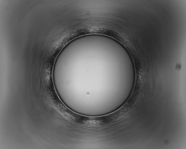 X0000115640691200911241711