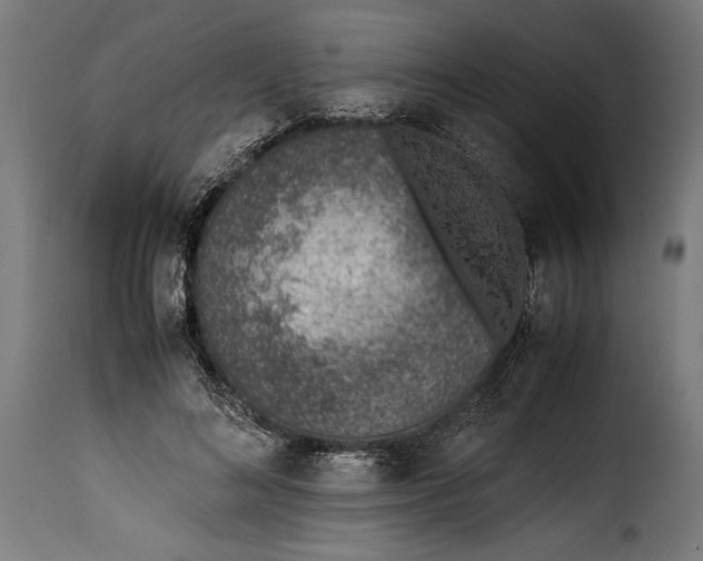 X0000115640692200911241711