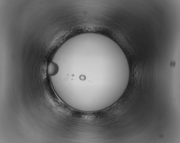 X0000115640694200911241711