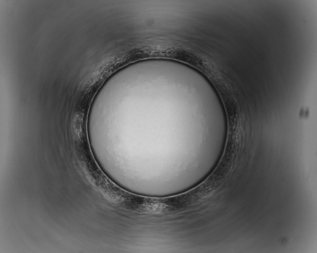 X0000115640695200911241711