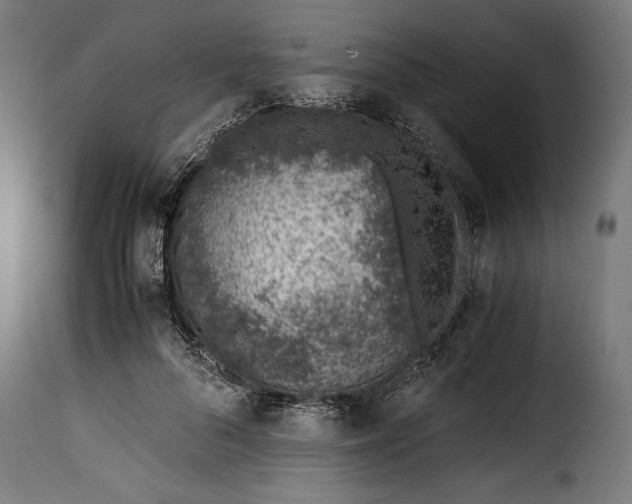 X0000115640696200911241711