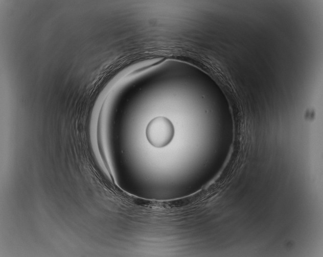 X0000115640697200911241711