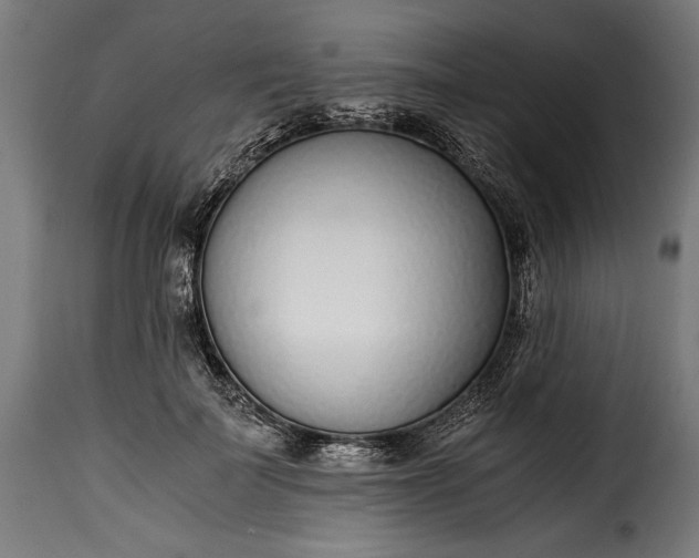 X0000115640699200911241711