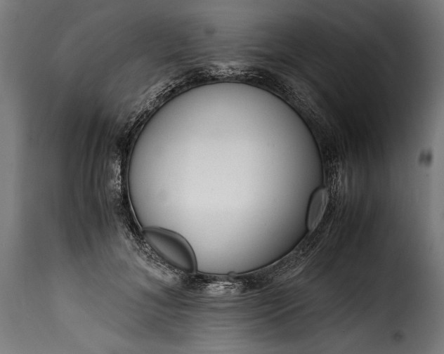 X0000115640700200911241711