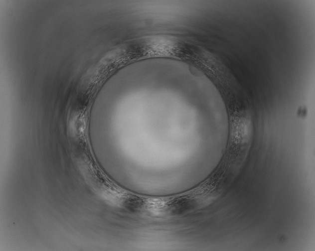 X0000115640701200911241711