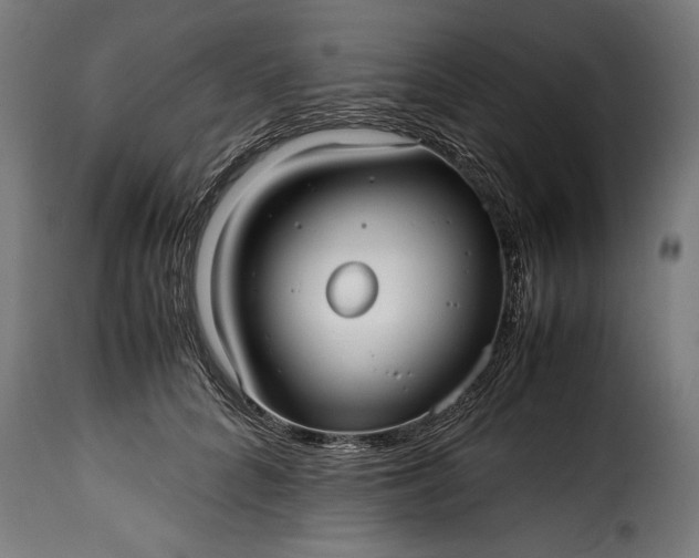 X0000115640704200911241711