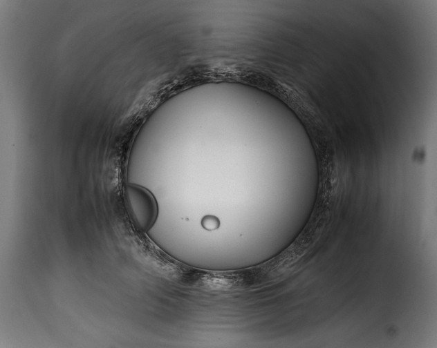 X0000115640706200911241711