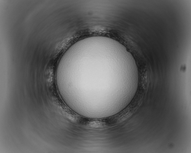 X0000115640708200911241711