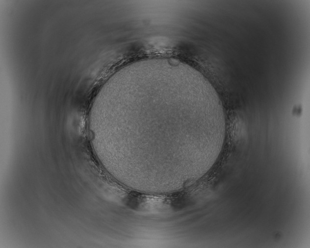 X0000115640709200911241711