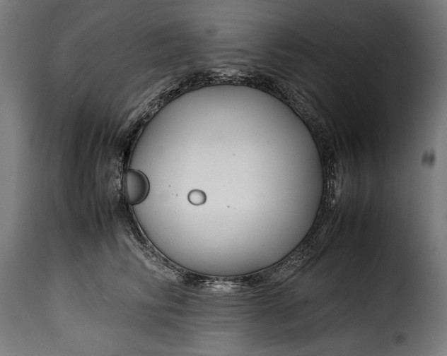 X0000115640710200911241711