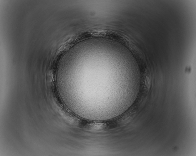 X0000115640711200911241711