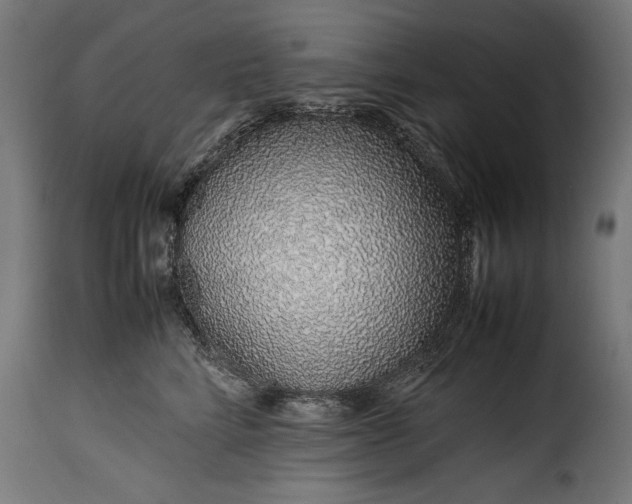 X0000115640712200911241711