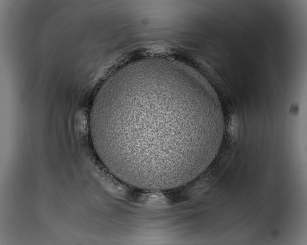 X0000115640715200911241711