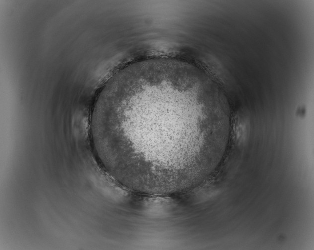 X0000115640716200911241711