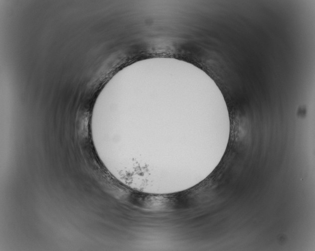 X0000115640717200911241711