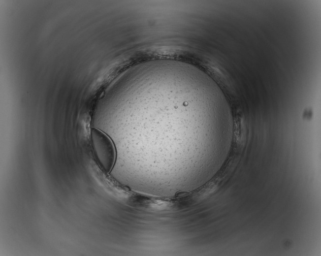 X0000115640718200911241711