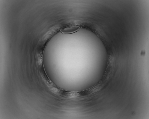 X0000115640719200911241711