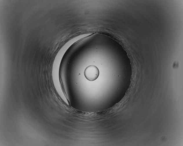 X0000115640720200911241711