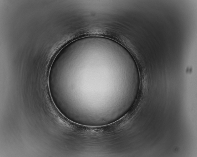 X0000115640721200911241710