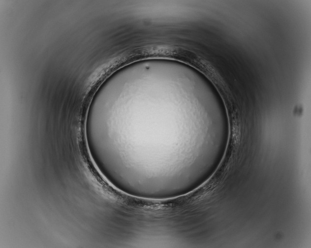 X0000115640725200911241710