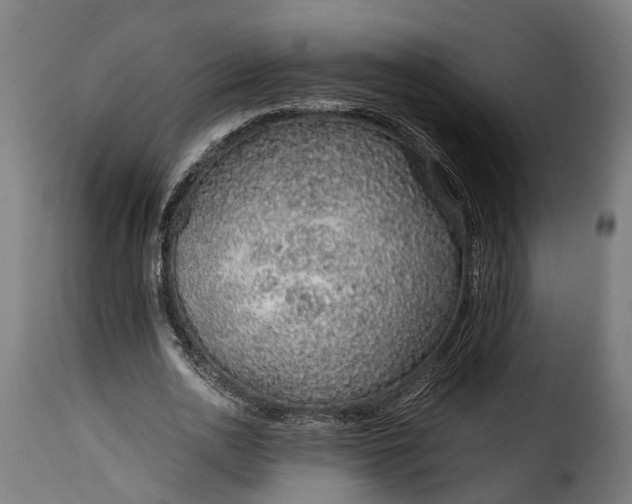 X0000115640726200911241710