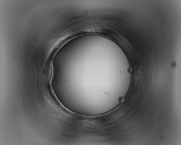 X0000115640727200911241710