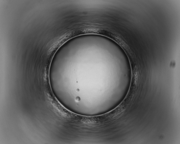 X0000115640729200911241710