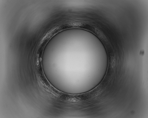 X0000115640731200911241710