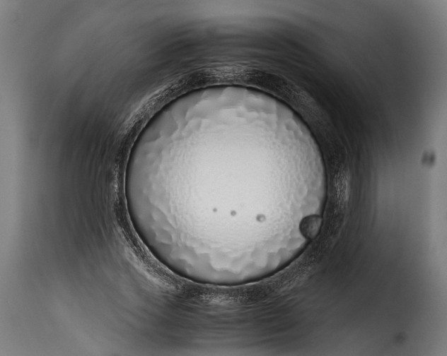 X0000115640733200911241710