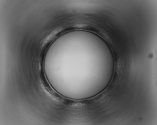 X0000115640734200911241710