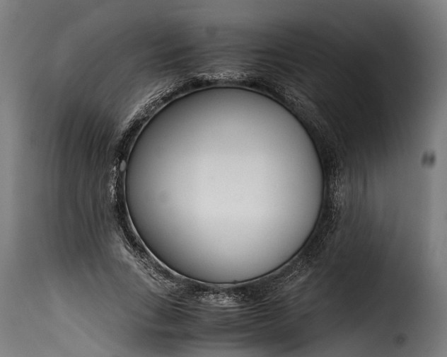 X0000115640735200911241710