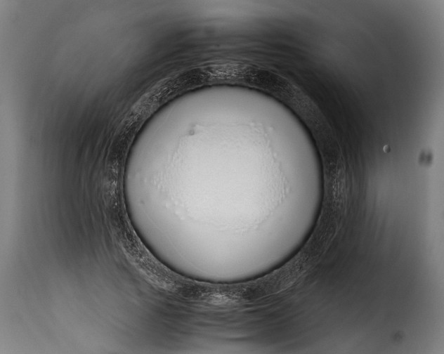 X0000115640737200911241710