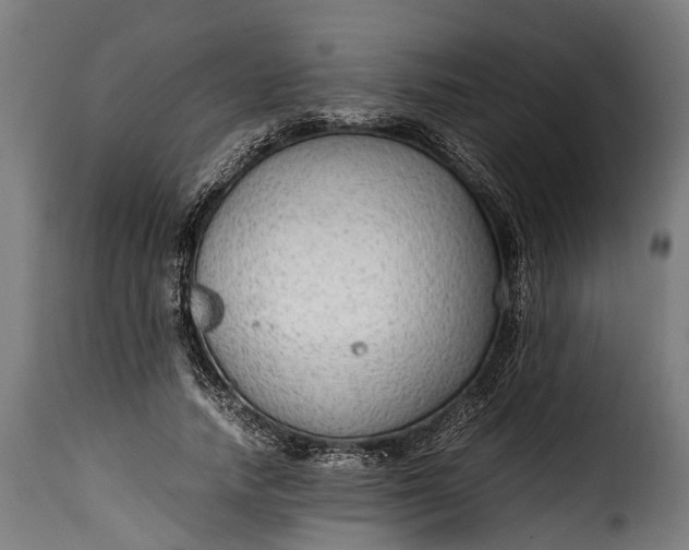 X0000115640738200911241710