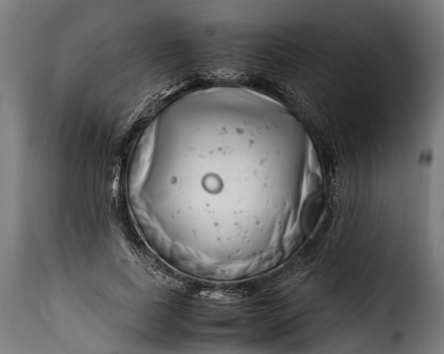 X0000115640739200911241710