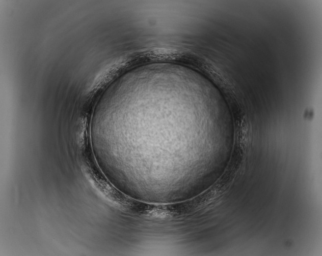 X0000115640742200911241710