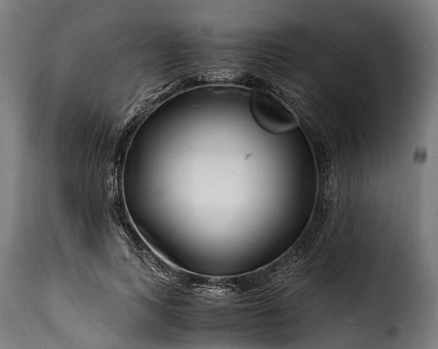 X0000115640743200911241710