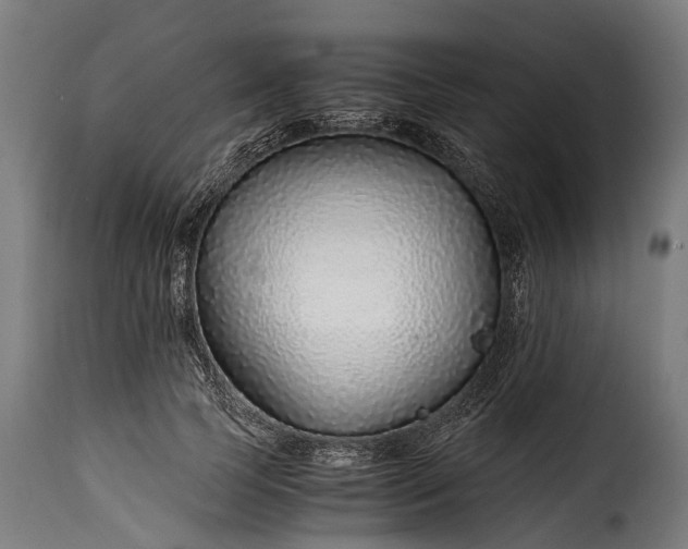 X0000115640745200911241710