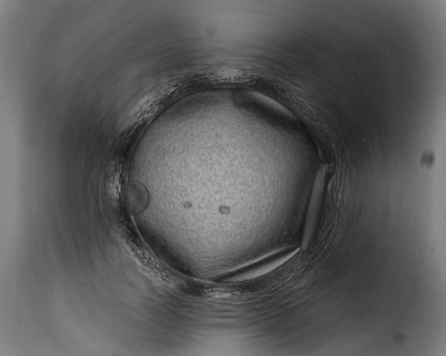 X0000115640746200911241710